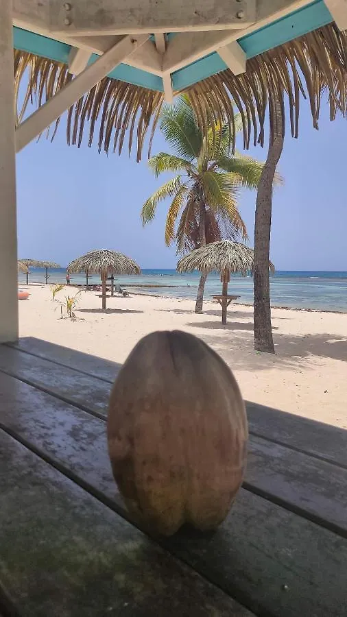 Nid Tropical Pour Deux Apartment Saint-Francois  0*, سانت فرانسوا